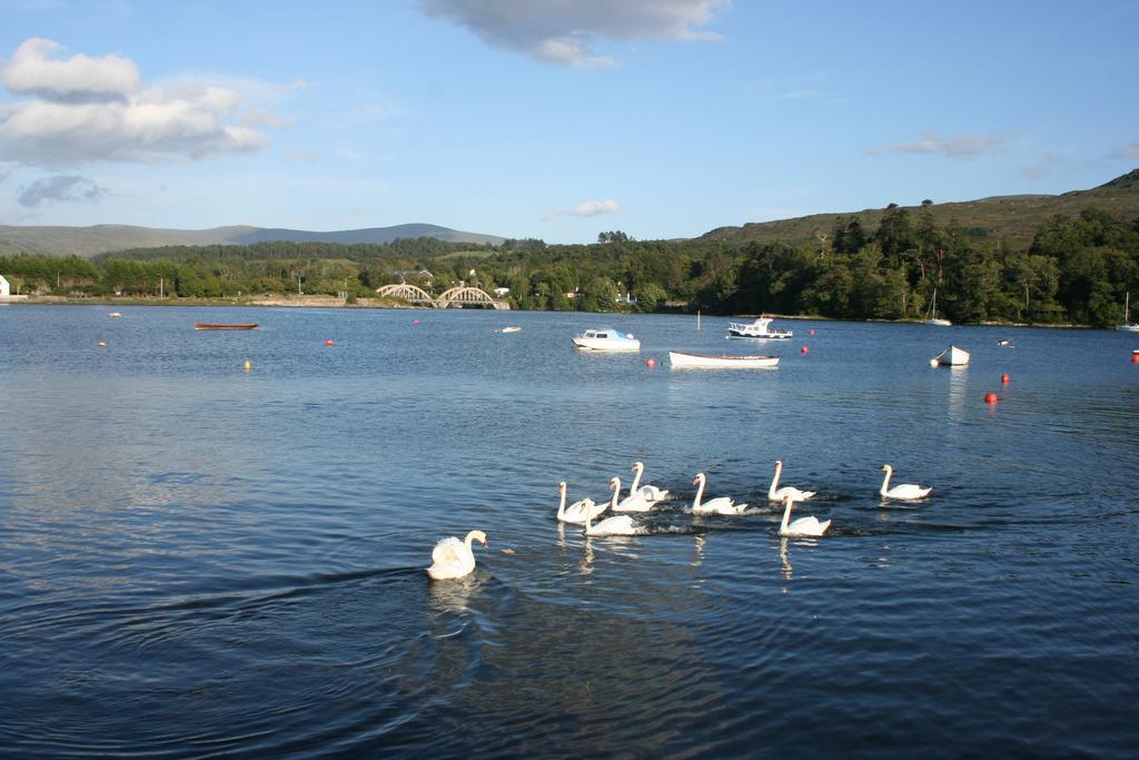 Riverlodge Self Catering Kenmare Kamer foto